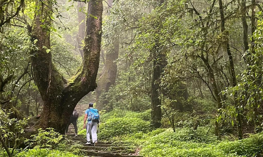 Shivapuri Hike: Walking inside National Park
