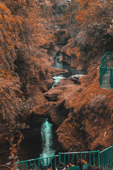 Davis Fall