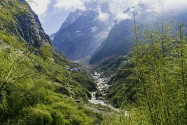 Annapurna Base Camp Trek Bamboo