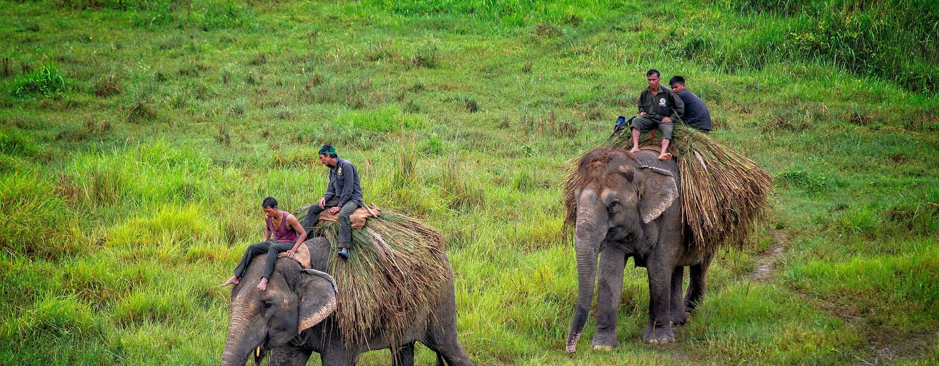 Chitwan National Park
