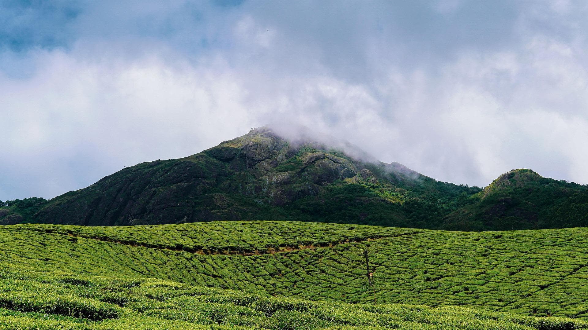 View in Kerela