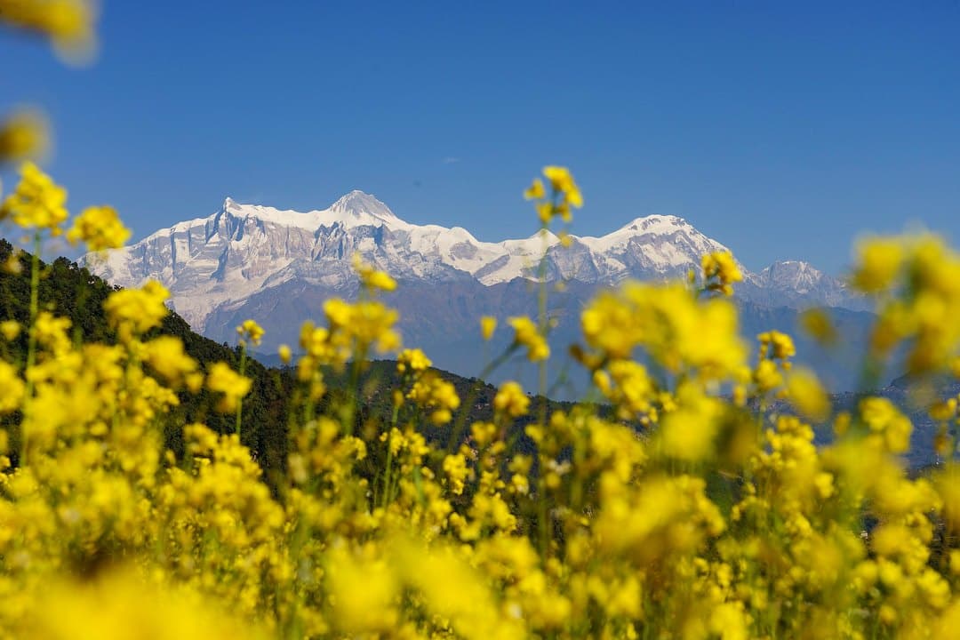Panchase Trek - 8 Days