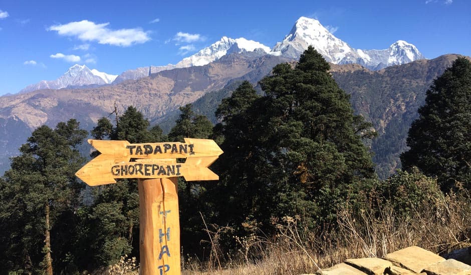 Signboard Of Tadapani And Ghorepani With Mountain View