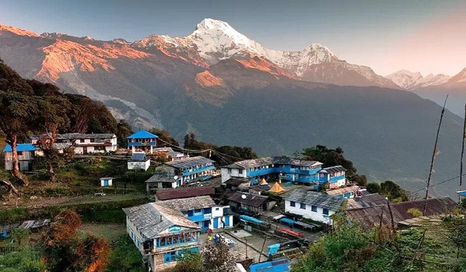 Tadapni Village View