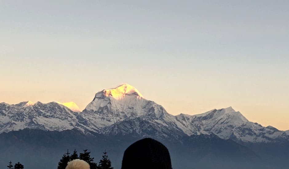 Annpurna View