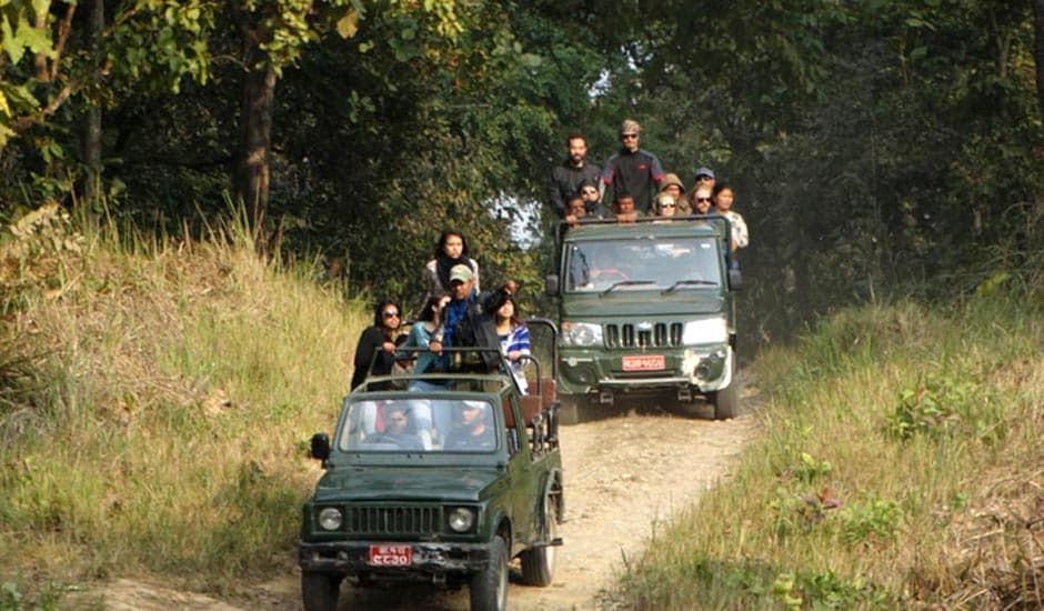 Jeep Safari Chitwan Shepherd Holidays