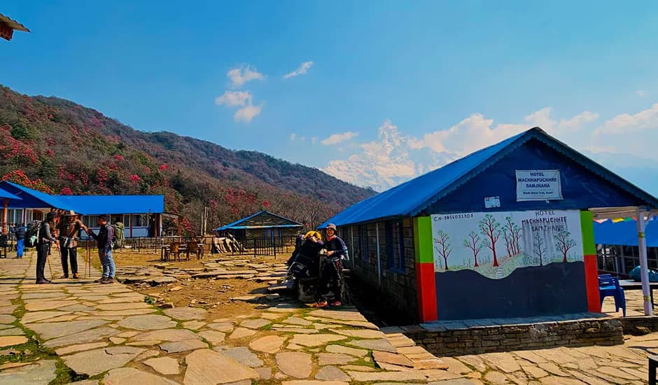 Mardi Himal Low Camp