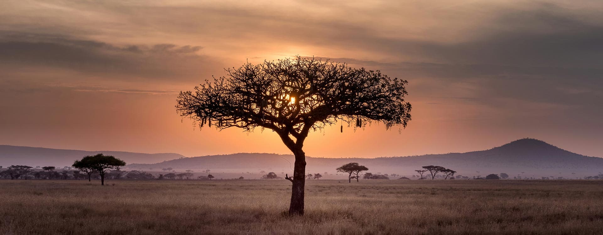 Africa | Africa Safari Tour