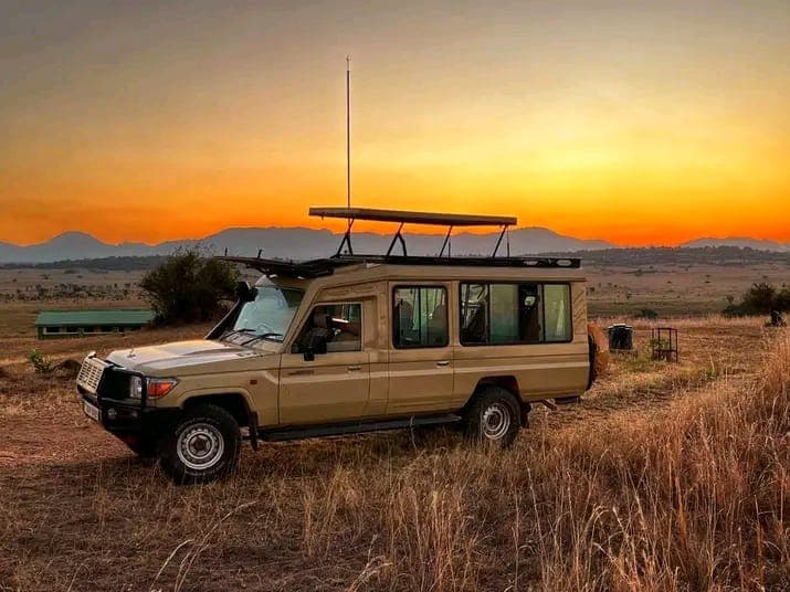 Safari in Africa