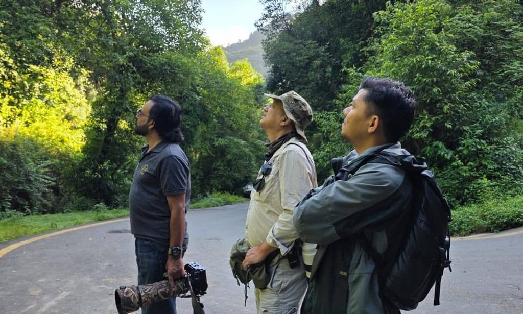 Phulchowki Hike from Kathmandu