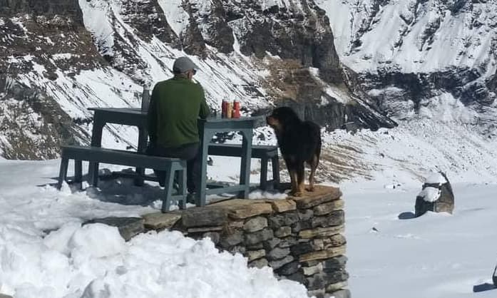 Standard Annapurna Base Camp Trek