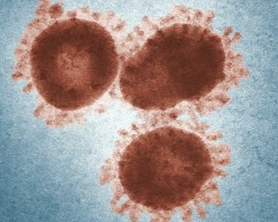 Coronavirus in Nepal